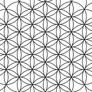 Meet your Posher, Jackson